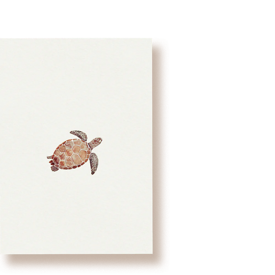 tucán y limón // Postkarte Schildkröte