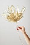 Studio About // Papierblume Palm Sand
